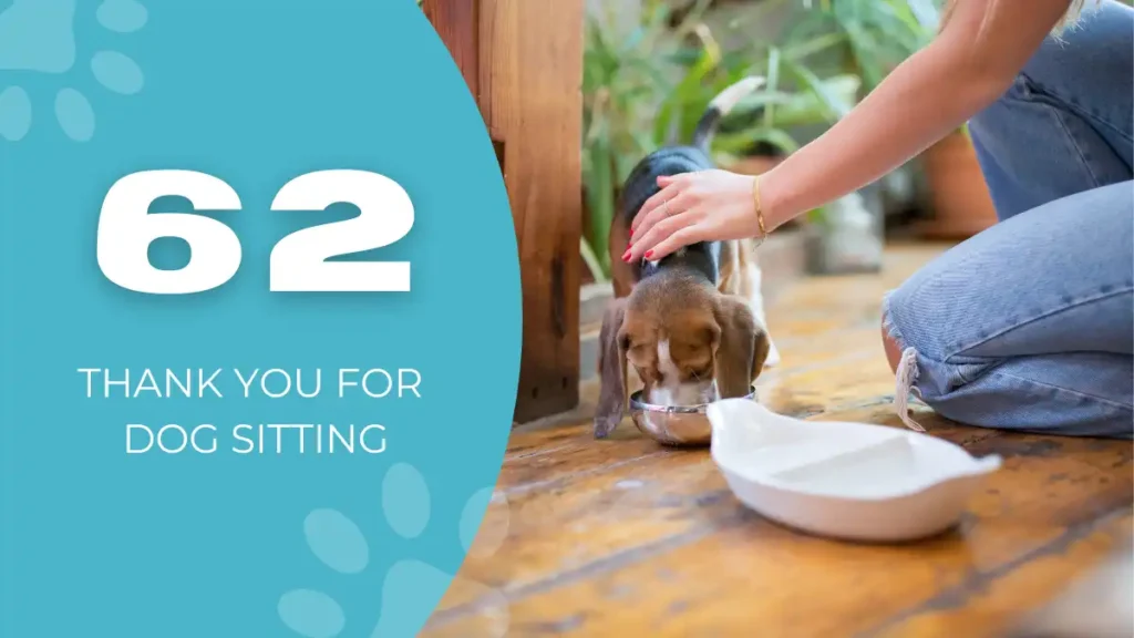 thank you for dog sitting