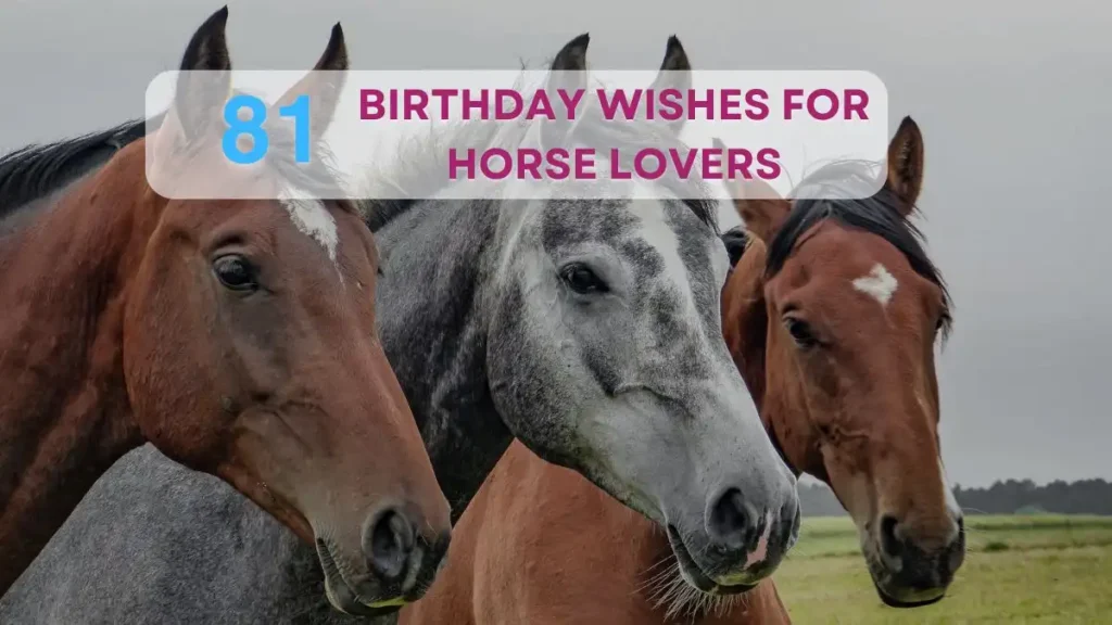 birthday wishes horse lovers